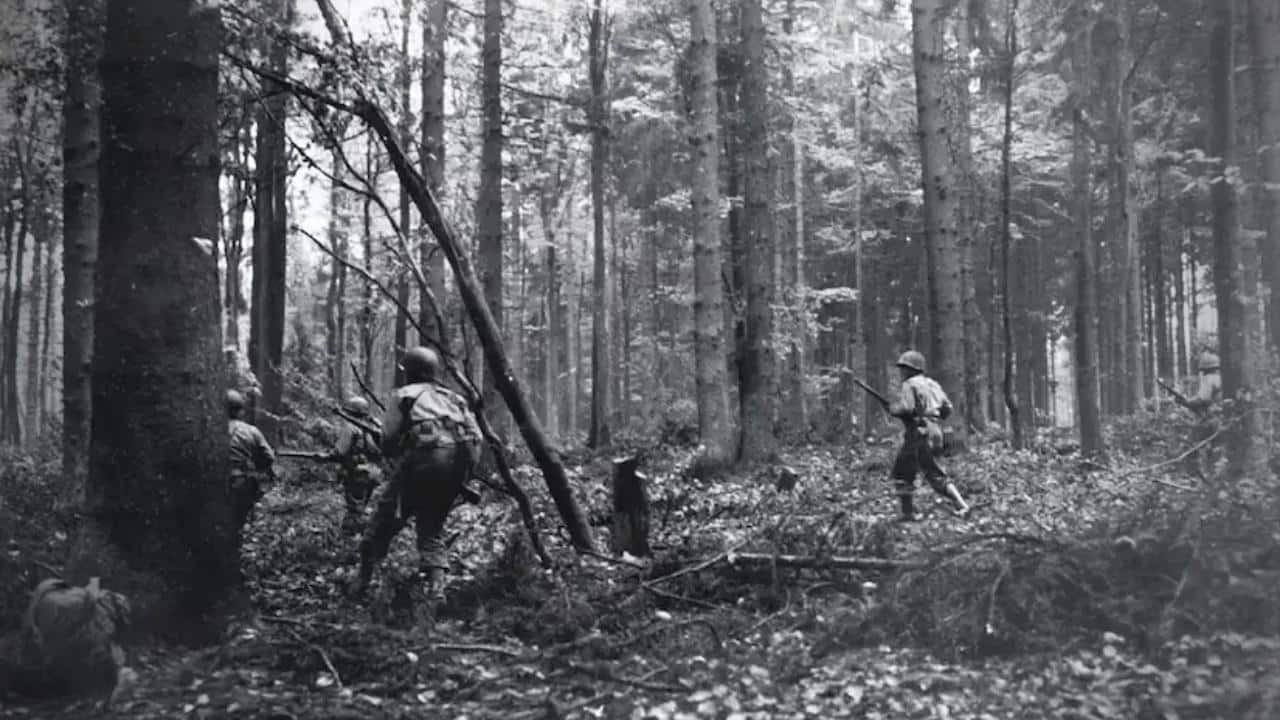 Longest Battle America Ever Fought, Battle of Hürtgen Forest