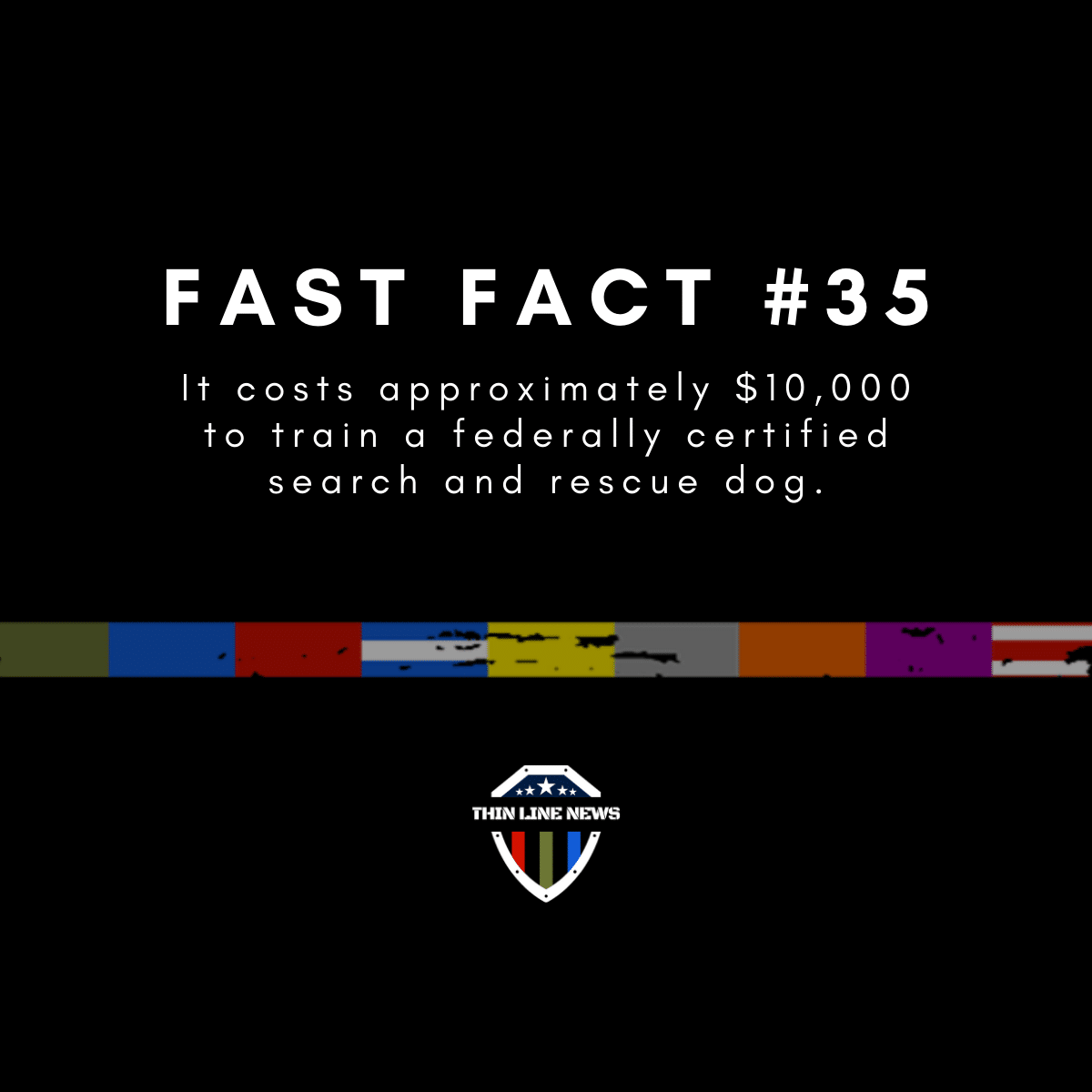 fast fact #35