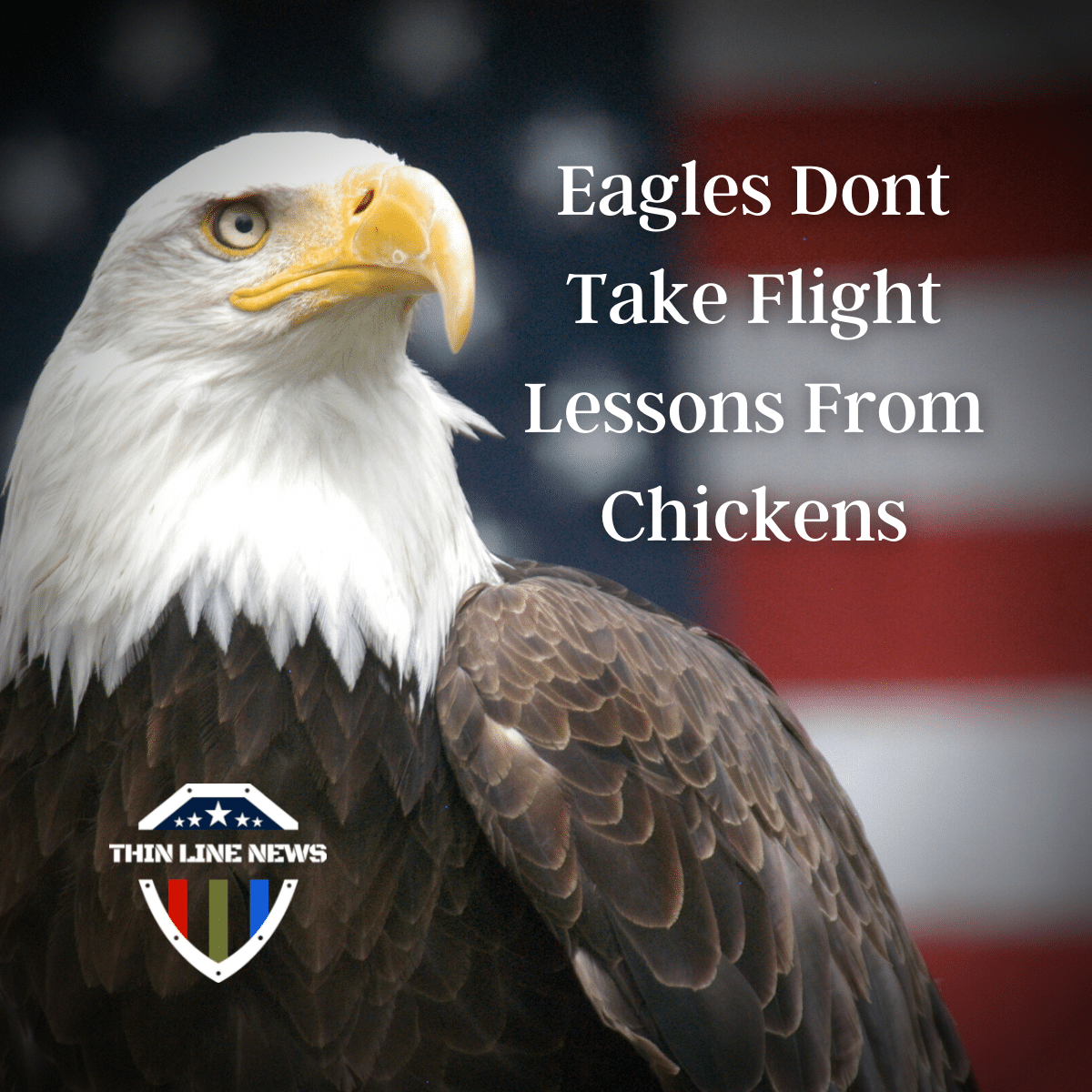 Eagles_dont_take_flight_lessons_from_chickens
